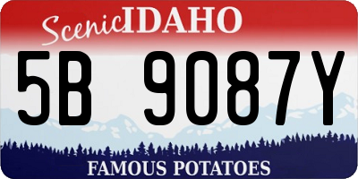 ID license plate 5B9087Y