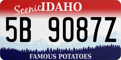 ID license plate 5B9087Z