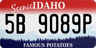 ID license plate 5B9089P