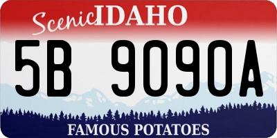 ID license plate 5B9090A