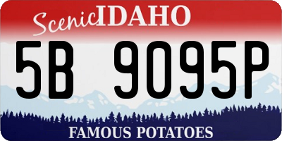ID license plate 5B9095P