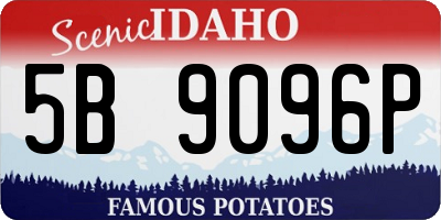 ID license plate 5B9096P
