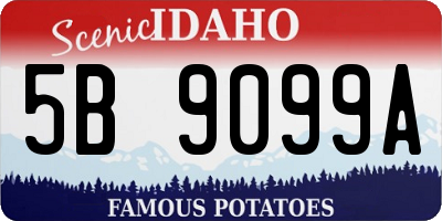 ID license plate 5B9099A
