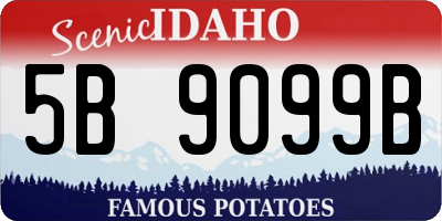 ID license plate 5B9099B