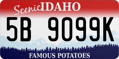 ID license plate 5B9099K