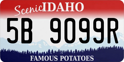 ID license plate 5B9099R