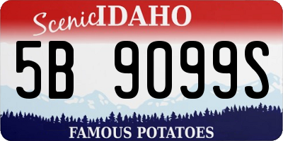 ID license plate 5B9099S