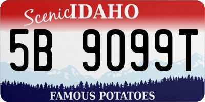 ID license plate 5B9099T
