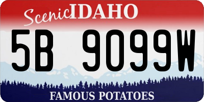 ID license plate 5B9099W