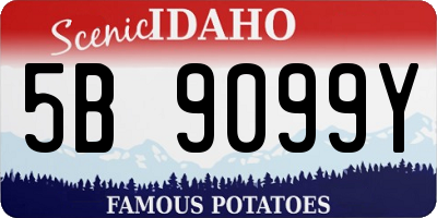 ID license plate 5B9099Y