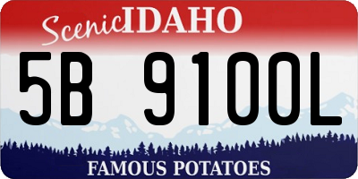 ID license plate 5B9100L