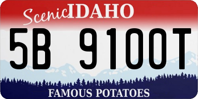 ID license plate 5B9100T