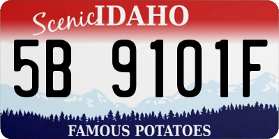 ID license plate 5B9101F