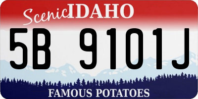 ID license plate 5B9101J