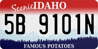 ID license plate 5B9101N