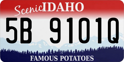 ID license plate 5B9101Q