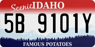 ID license plate 5B9101Y