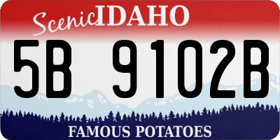 ID license plate 5B9102B