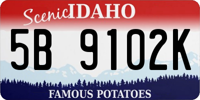 ID license plate 5B9102K