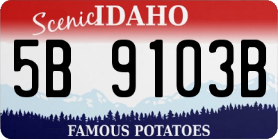ID license plate 5B9103B