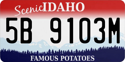 ID license plate 5B9103M