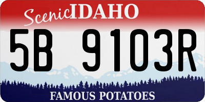 ID license plate 5B9103R