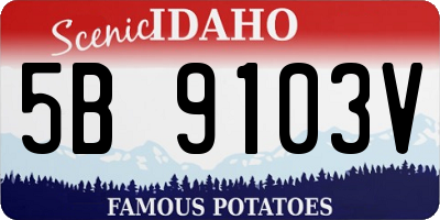 ID license plate 5B9103V