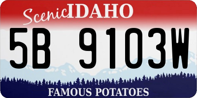 ID license plate 5B9103W
