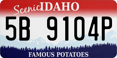 ID license plate 5B9104P