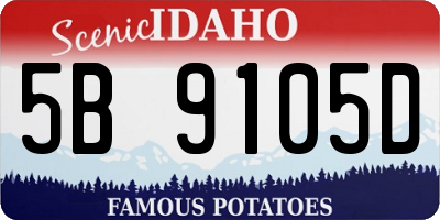 ID license plate 5B9105D