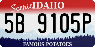 ID license plate 5B9105P