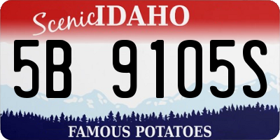 ID license plate 5B9105S