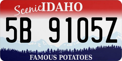 ID license plate 5B9105Z