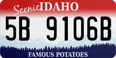 ID license plate 5B9106B