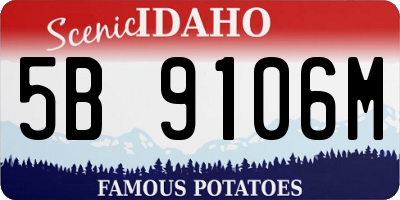 ID license plate 5B9106M