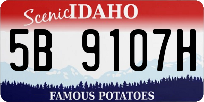ID license plate 5B9107H