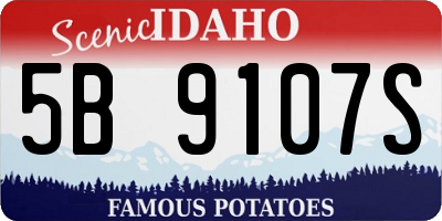 ID license plate 5B9107S