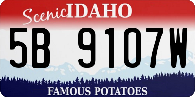 ID license plate 5B9107W
