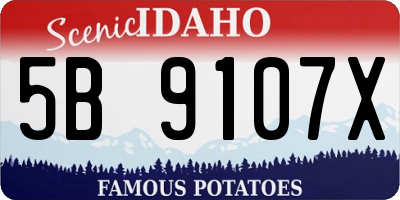 ID license plate 5B9107X