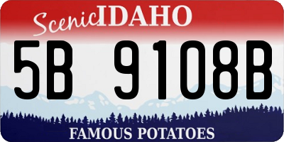 ID license plate 5B9108B