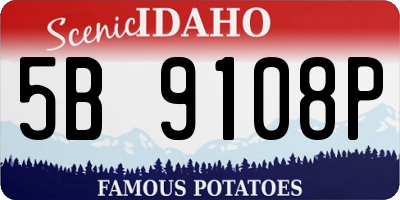 ID license plate 5B9108P
