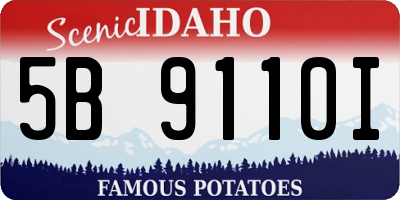ID license plate 5B9110I