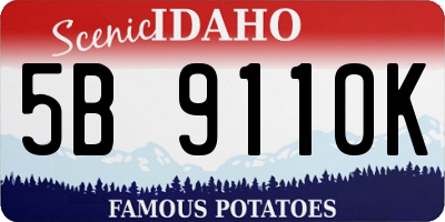 ID license plate 5B9110K