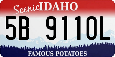 ID license plate 5B9110L