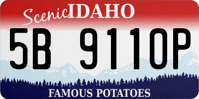 ID license plate 5B9110P
