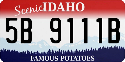 ID license plate 5B9111B