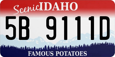 ID license plate 5B9111D