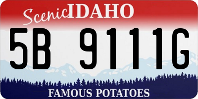 ID license plate 5B9111G