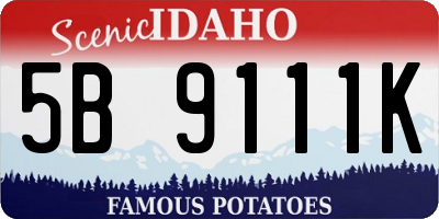 ID license plate 5B9111K