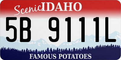 ID license plate 5B9111L